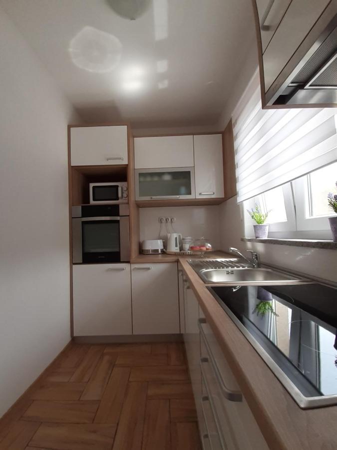 Apartment Dinko 洛瓦尼斯卡 外观 照片