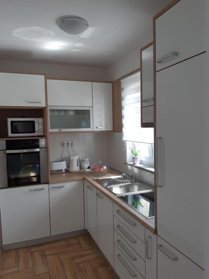 Apartment Dinko 洛瓦尼斯卡 外观 照片