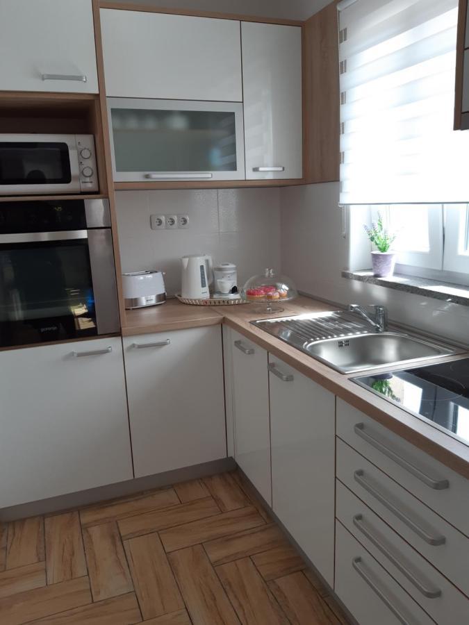 Apartment Dinko 洛瓦尼斯卡 外观 照片