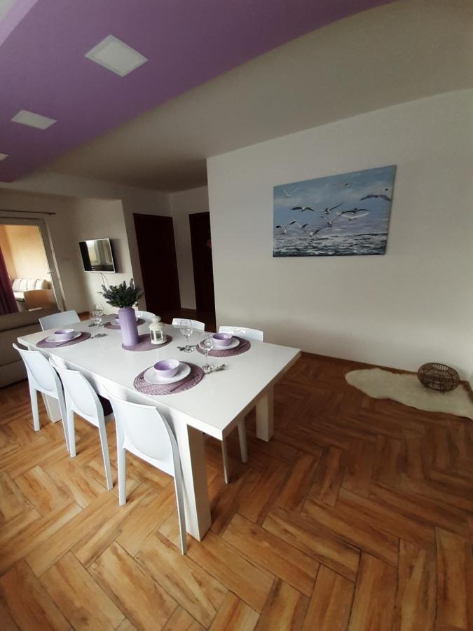 Apartment Dinko 洛瓦尼斯卡 外观 照片