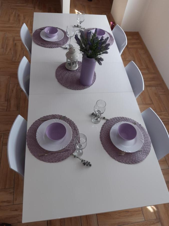 Apartment Dinko 洛瓦尼斯卡 外观 照片