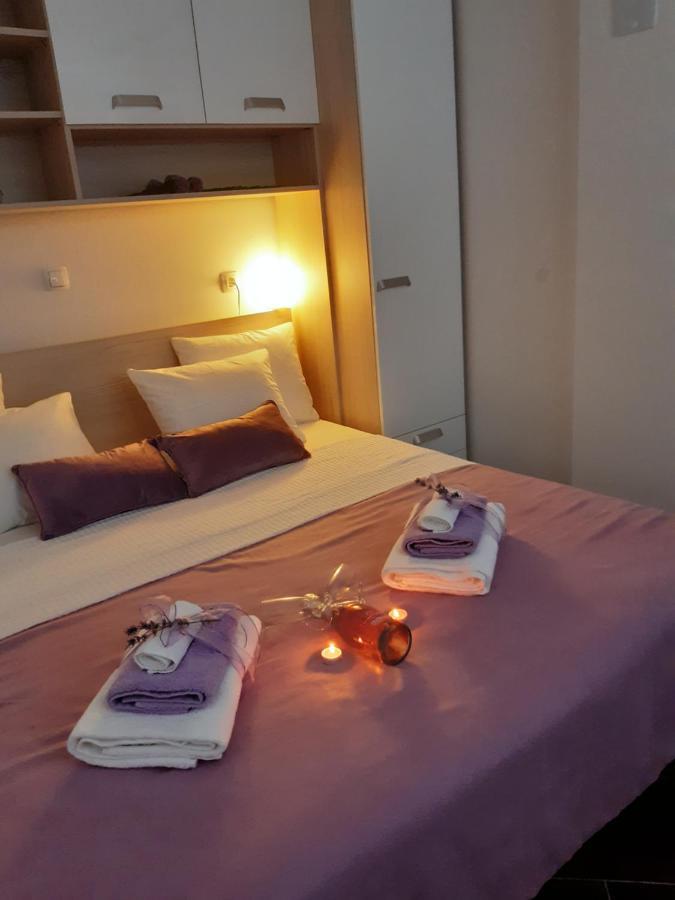 Apartment Dinko 洛瓦尼斯卡 外观 照片