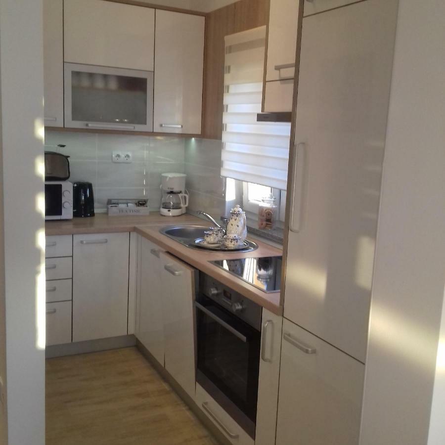 Apartment Dinko 洛瓦尼斯卡 外观 照片